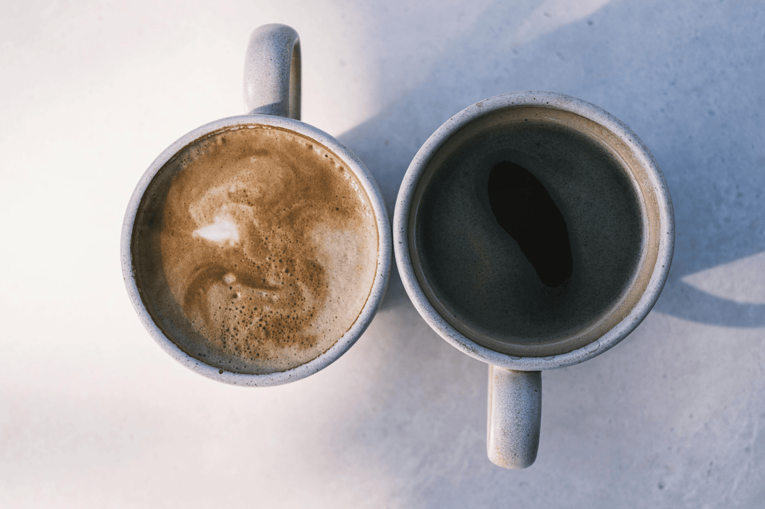 Mushroom Coffee vs. a Flavorless Vitamin Boost: Which Upgrade Is Right for You? - VitaPerk