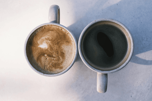 Mushroom Coffee vs. a Flavorless Vitamin Boost: Which Upgrade Is Right for You? - VitaPerk